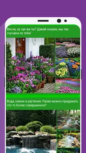 Все о цветах screenshot 2