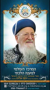 מענה הלכתי מיידי screenshot 4