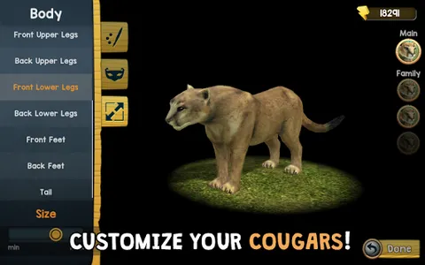 Wild Cougar Sim 3D screenshot 14