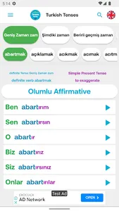 Turkish Tenses 12 screenshot 2