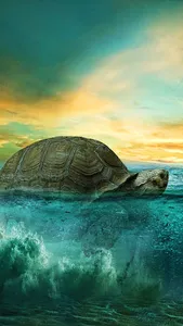 🐢 Sea Turtle Lock Screen Live screenshot 13