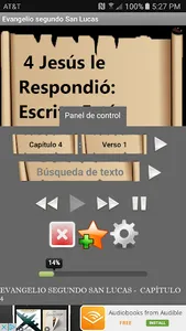 Biblia Audio en Español screenshot 1