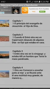 Biblia Audio en Español screenshot 3