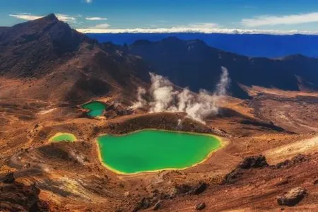 New Zealand Essential screenshot 4