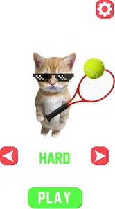 Cute Cat Meme Tennis screenshot 2