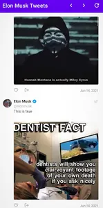 Elon Musk Tweets App screenshot 3