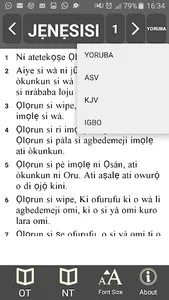 Yoruba & Igbo Bible screenshot 0