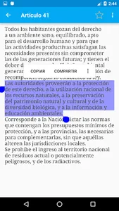 Constitución de Argentina screenshot 3