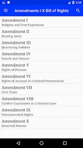 US Constitution screenshot 2