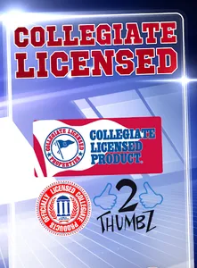 COLLEGE FIGHTSONGS OFFICIAL screenshot 9