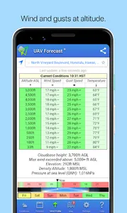 UAV Forecast for Drone Pilots screenshot 2