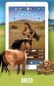 Howrse - Horse Breeding Game screenshot 15