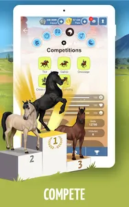 Howrse - Horse Breeding Game screenshot 19