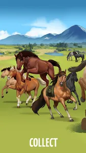 Howrse - Horse Breeding Game screenshot 2