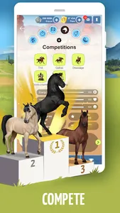 Howrse - Horse Breeding Game screenshot 5