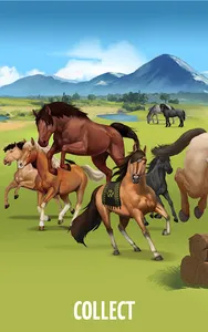 Howrse - Horse Breeding Game screenshot 9