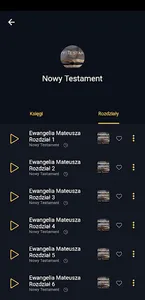 Biblia Audio screenshot 5