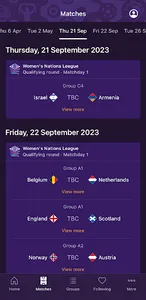 EURO 2024 & Women's EURO 2025 screenshot 6