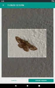 BioLens screenshot 9