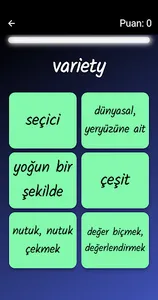 Lucky Rose YDS screenshot 4