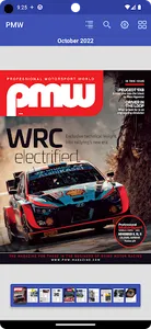 Professional Motorsport World screenshot 4