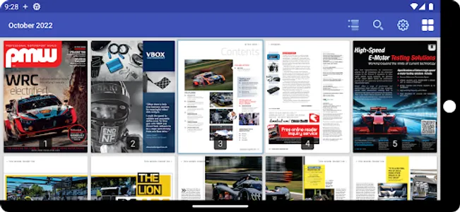 Professional Motorsport World screenshot 6