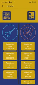 Report-A screenshot 5