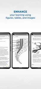 Gynecology and Obstetrics screenshot 1