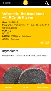 Masterbaker screenshot 2