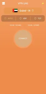 VPN UAE - Private & Secure VPN screenshot 0