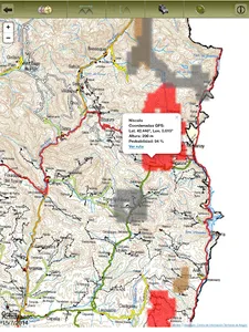 eBolets Aragón 2023 screenshot 8