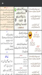 Urdu poetry screenshot 3