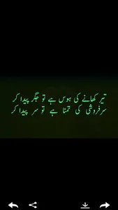 Urdu poetry screenshot 5