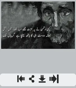 Dushman Shayari screenshot 1