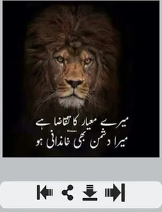 Dushman Shayari screenshot 3