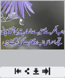 Ishq Shayari عشق شاعری screenshot 0