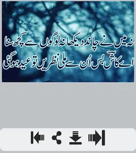Ishq Shayari عشق شاعری screenshot 3