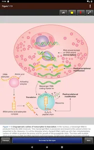 Ganong's Review of Medical Phy screenshot 20