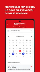 Мой Бухгалтер Online screenshot 2