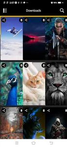 Best HD Wallpapers screenshot 3