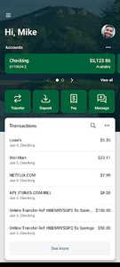 Valley Bank screenshot 1