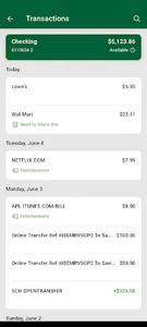 Valley Bank screenshot 2