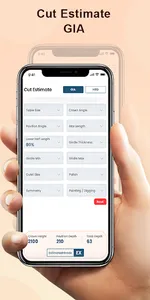 Diamond Cut Estimator-VLR screenshot 0