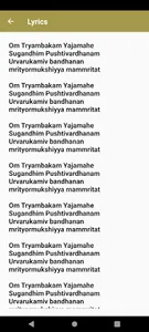Maha Mrityunjaya Mantram screenshot 3