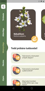 Rétköz screenshot 4