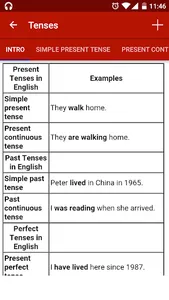 English Grammar Master screenshot 10