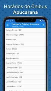 Apucarana - Horario dos Ônibus screenshot 0