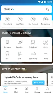 QuickPay - Template screenshot 1