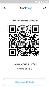 QuickPay - Template screenshot 3