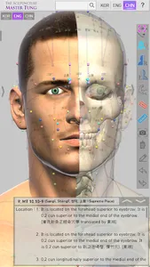 The Acupuncture Master Tung screenshot 1